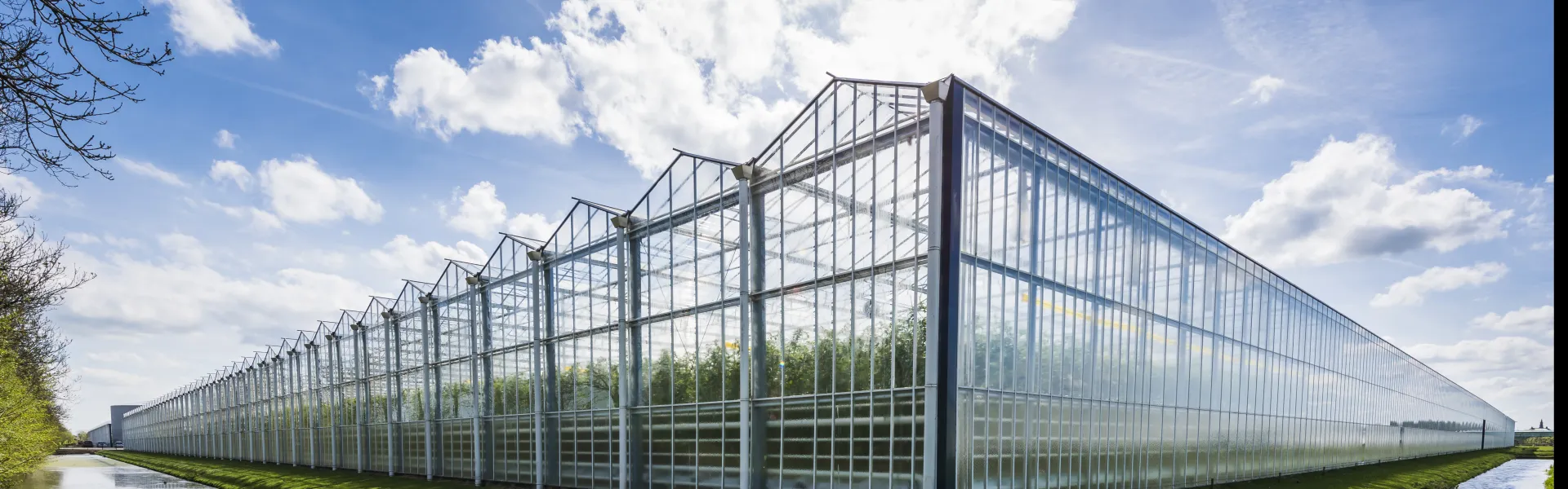 Enriquecimiento de CO2 en los invernaderos