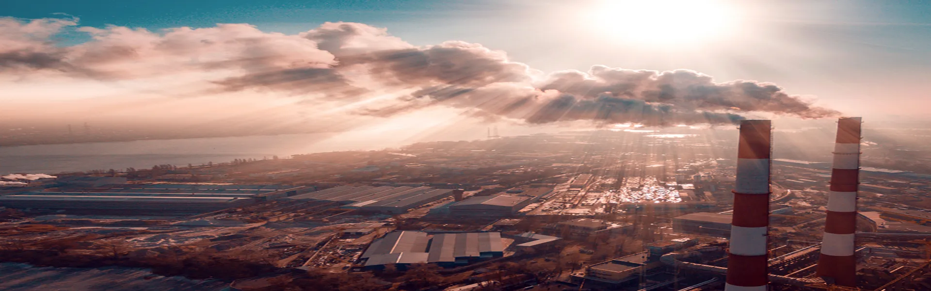 Recuperación de COV