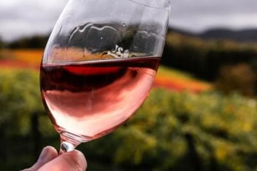 Soluciones para la industria del vino y las bebidas espirituosas