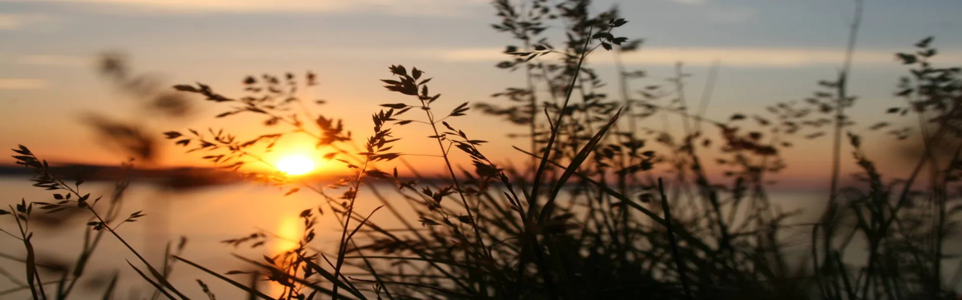 Soluciones para el desarrollo sostenible