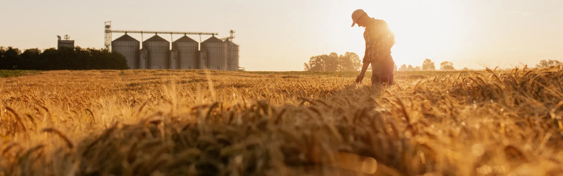CO₂ BIOPROTECTION: la solución natural para el control de plagas
