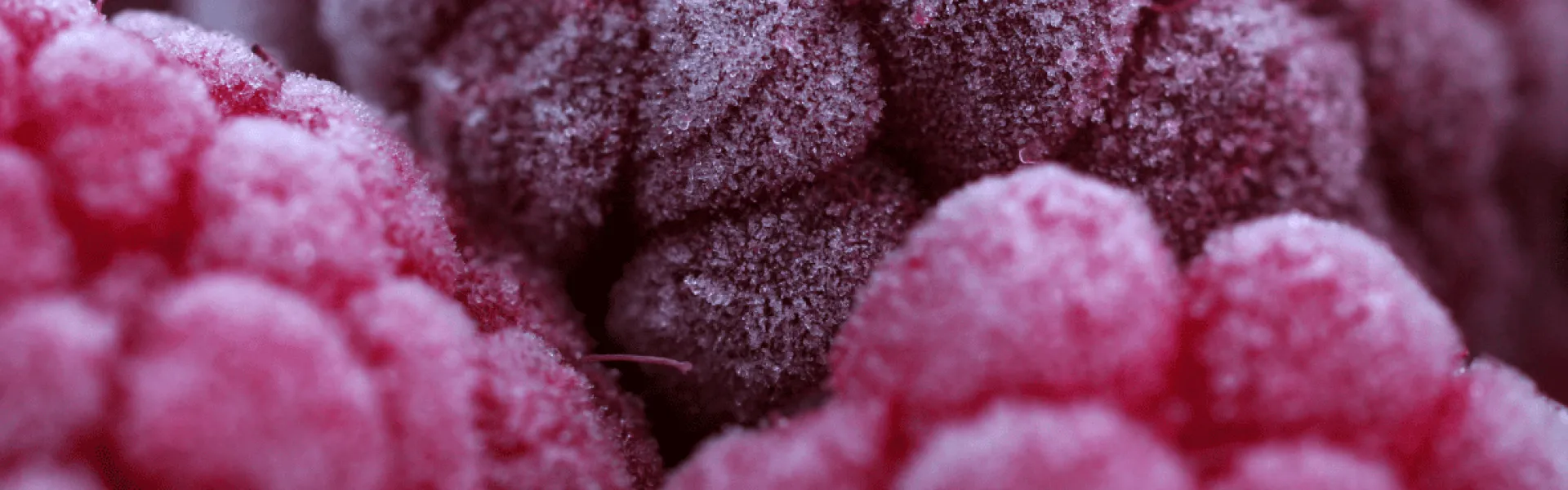 Cryogénie: congélation, refroidissement, et surgélation des aliments