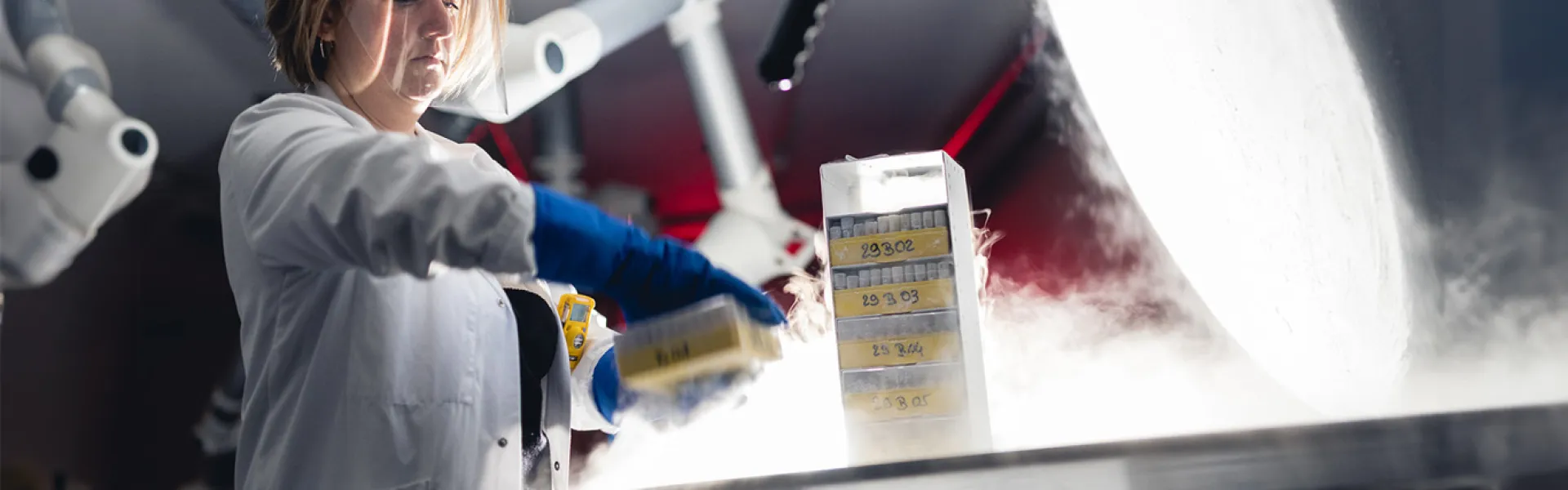 Equipos y servicios de gas para investigación y análisis en laboratorios