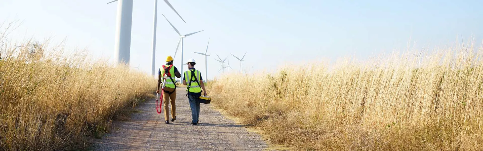 Dos trabajadores especializados frente a unos aerogeneradores terrestres en un campo de trigo