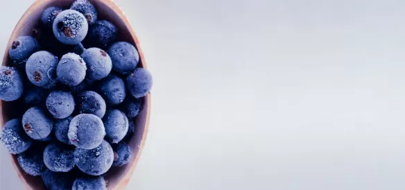 Ebook Augmenter la durée de conservation en maintenant la qualité des aliments