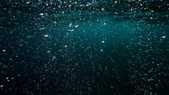 Descubra el Tratamiento biológico de aguas