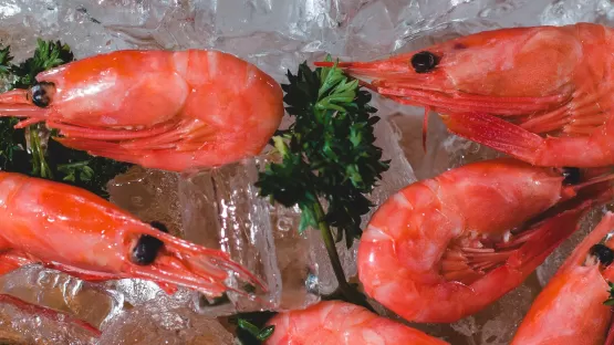 Conservación mariscos