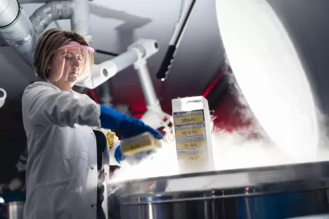 Choisir le matériel de cryoconservation adapté à mes besoins