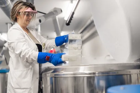 Materiales para la crioconservación