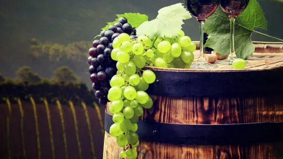 Nuestras soluciones para elaborar sus mejores vinos