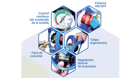 Caracteristics de la botella ALbee
