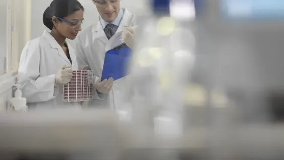 Técnicos de laboratorio analizando resultados