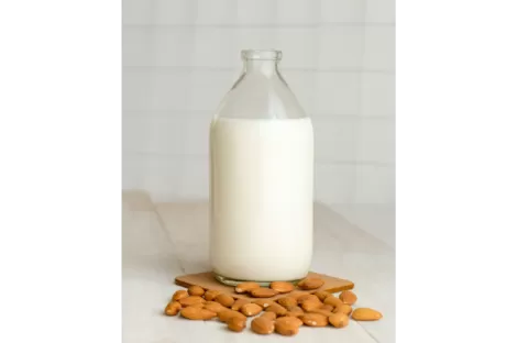 Optimización de los procesos de fermentación - Leche