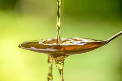 Inertización con nitrógeno - Aceite