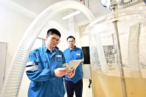 Soporte técnico experto para su proceso