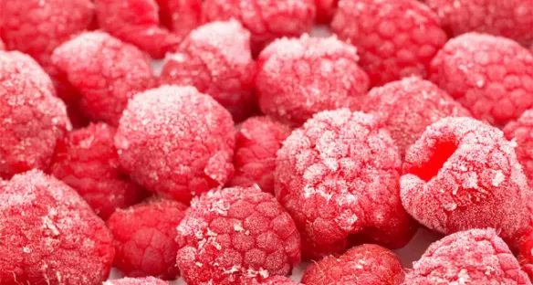 Industria alimentaria - Criogenia alimentaria