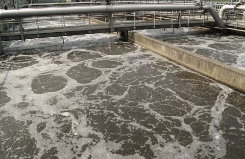 Traitement des eaux usées