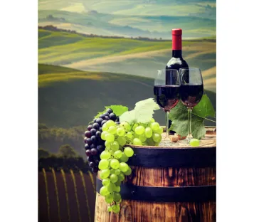 Control de los gases disueltos: conservar la calidad del vino, desde la viña hasta la botella