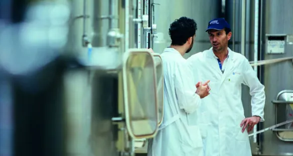 Un acompañamiento técnico