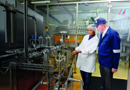 Soporte técnico, mantenimiento y formación