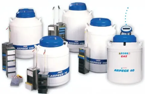 Materiales para la crioconservación: protección absoluta de sus muestras