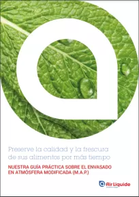 Ebook map Air Liquide