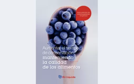 Aumentar el tiempo de conservacion manteniendo la calidad de los alimentos ebook