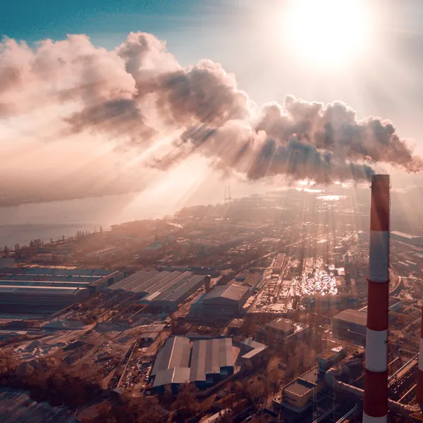 Recuperación de COV 