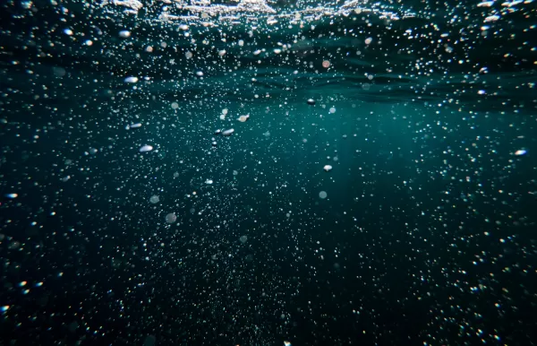 Descubra el Tratamiento biológico de aguas