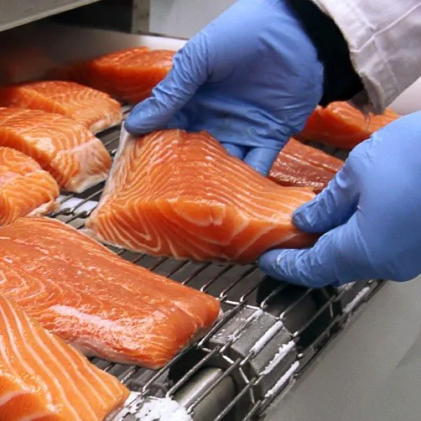 Indústria alimentaria