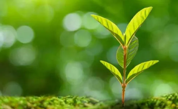 Air Liquide refuerza su inversión en start-up de impacto a través de ALIAD