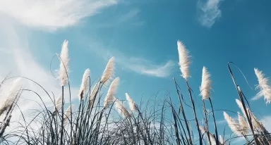 medio ambiente aire