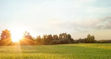 La traiettoria di riduzione della CO2 di Air Liquide entro il 2035 è convalidata dall'iniziativa Science Based Targets (SBTi) .pdf
