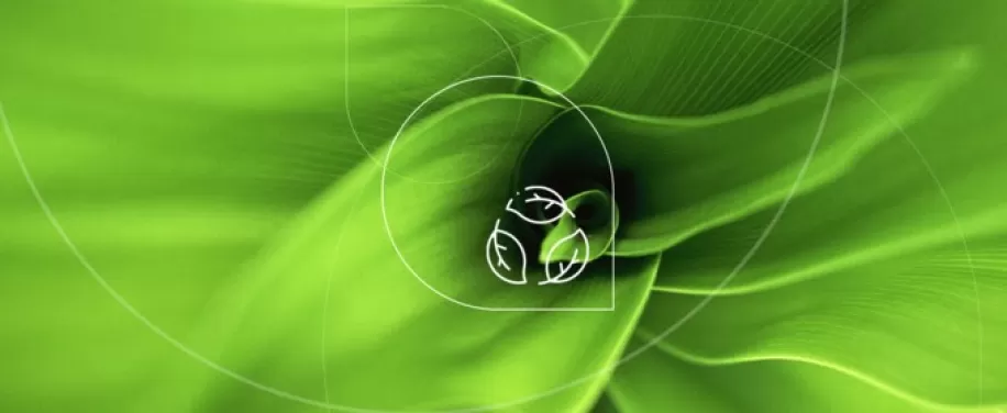 Air Liquide firma il suo primo contratto di acquisto a lungo termine di energia elettrica rinnovabile in Cina