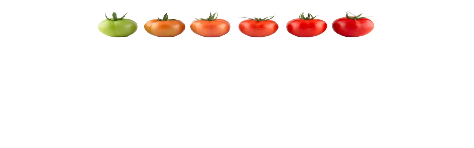 Mûrissement, déverdissage et maturation des fruits et légumes