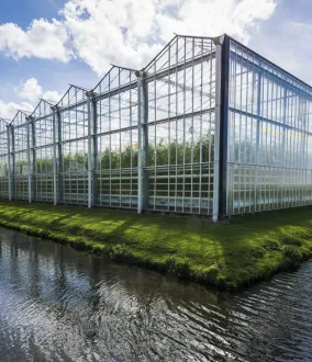 Enriquecimiento de CO2 en los invernaderos