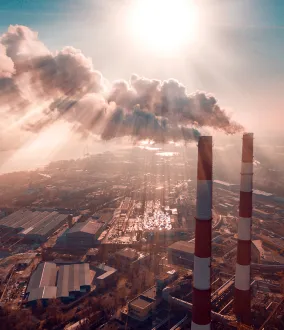 Recuperación de COV 