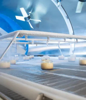 Criogenia alimentaria