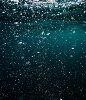 Tratamiento biológico de aguas