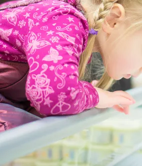 CO₂ R744 gas refrigerante