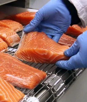 Indústria alimentaria