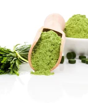 Nuestra gama de soluciones para la producción de ingredientes naturales