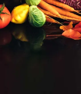 Solution de conservation sous atmosphère des végétaux