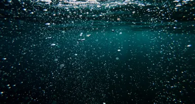Descubra el Tratamiento biológico de aguas