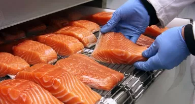 Food Banner