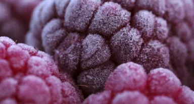 Criogenia alimentaria - refrigeración, congelación y transporte refrigerado