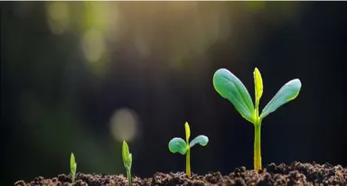 A Air Liquide está se associou com a Rothschild & Co e a Fundação Solar Impulse para lançar um fundo de investimento de 200 milhões de euros