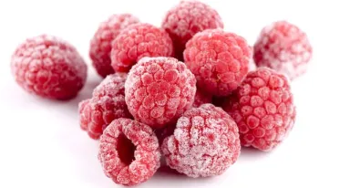 congelacion criogénica de alimentos