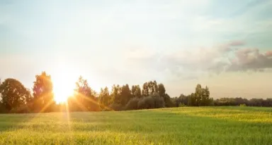 La traiettoria di riduzione della CO2 di Air Liquide entro il 2035 è convalidata dall'iniziativa Science Based Targets (SBTi) .pdf