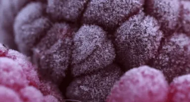 Cryogenie alimentaire